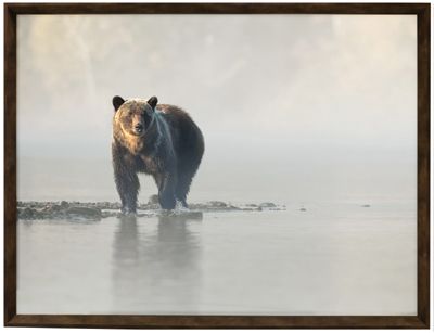 Art Northwood Bear on the Shore N4757 31x41