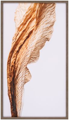 Art Northwood Dried Lily Flower ll N4688A 21x37