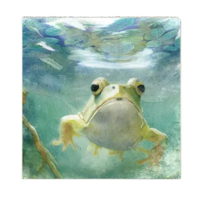 Cedar Mountain Art Block Frog