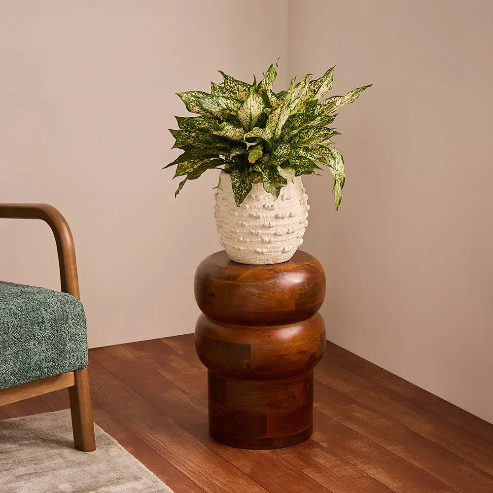 NACH Oakspire Side Table Mango  VV-25716