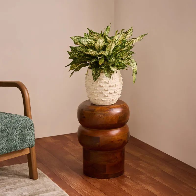 NACH Oakspire Side Table Mango  VV-25716