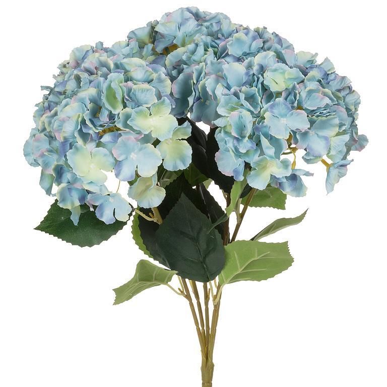 Plant Abbott Hydrangea Blue Lg 20” Plant Abbott Hydrangea Blue Lg 20”