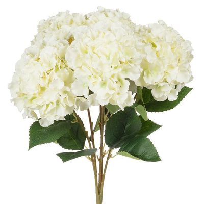 Plant Abbott Hydrangea White Lg 20”