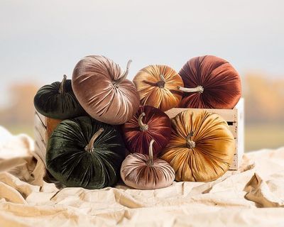 Decor Abbott Velvet Pumpkin SM Asst.