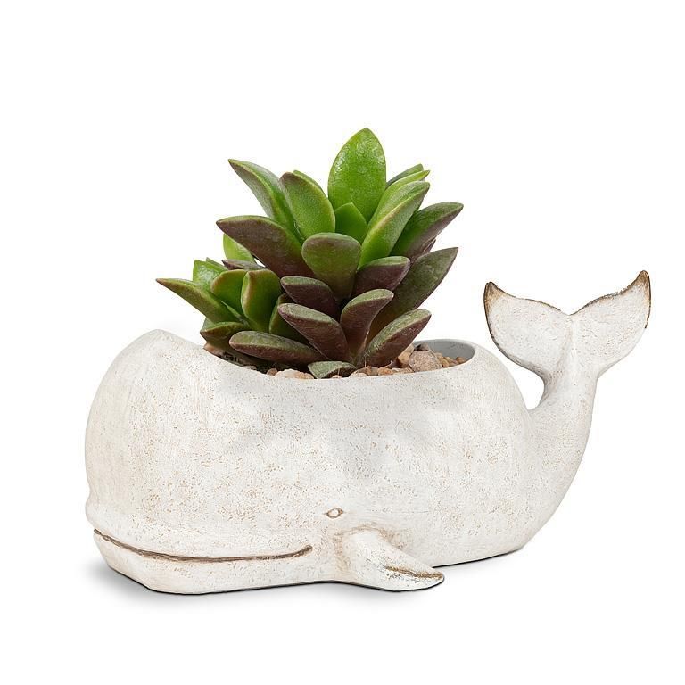Planter Abbott Whale GRY LG 15”