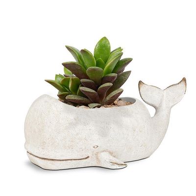 Planter Abbott Whale GRY LG 15”