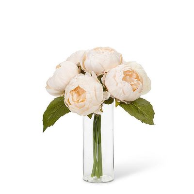 Plant Abbott Peony Bouquet Ivory 10”