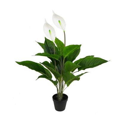 Plant Nostalgia Spathiphyllum 780-013