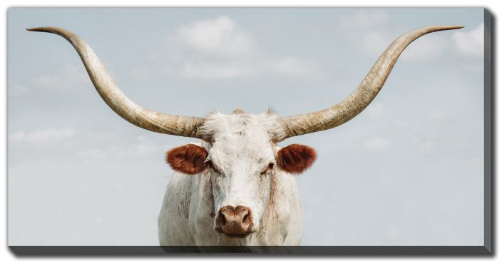 Streamline Art Texas Longhorn D4444 20x40 Streamline Art Texas Longhorn D4444 20x40