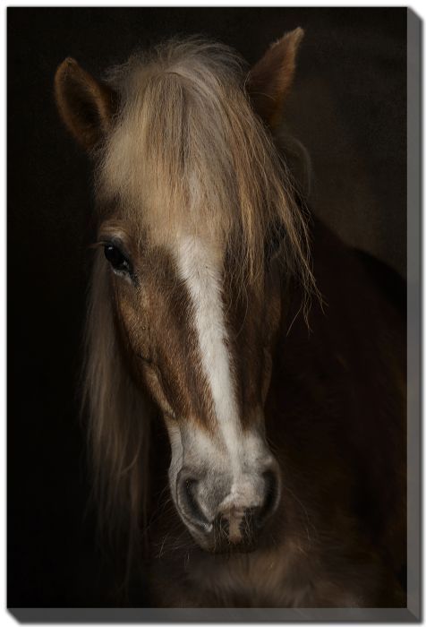 Streamline Art Sapience D4306 30x45