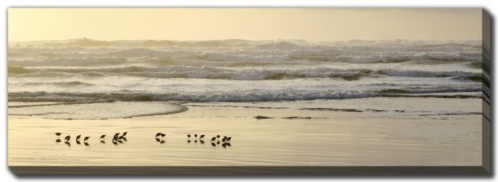 Streamline Art Shoreline Parade at Dawn D4456 20x60