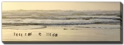 Streamline Art Shoreline Parade at Dawn D4456 20x60