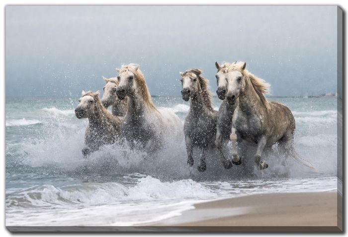 Streamline Art Wild Horses D3970 30x45 Streamline Art Wild Horses D3970 30x45