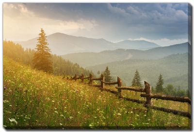 Streamline Art Carpathian Mountain 30 x 45 D4371-3045