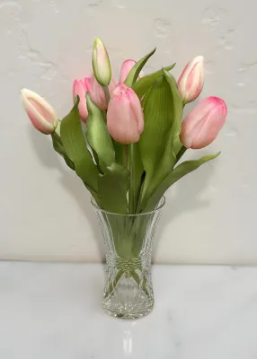 Flowers TriW Pink Formosa Tulip 12" 10194AUGPK