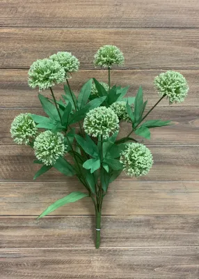 Flowers TriW Cream Allium Bush 20 Flowers TriW Cream Allium Bush 20" 10155CM
