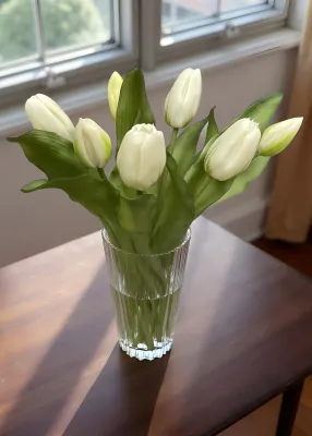 Flowers TriW White Formosa Tulip 12" 10194AUGW