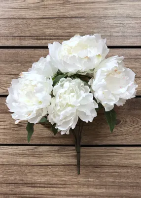 Flowers TriW White Peony Bush 18" 10146W