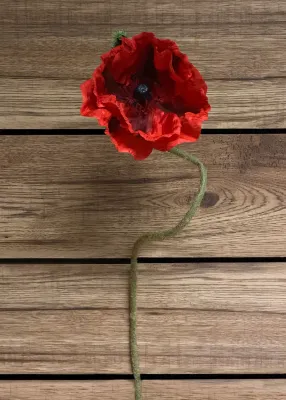Flowers TriW Red Poppy Stem 31" 00961R
