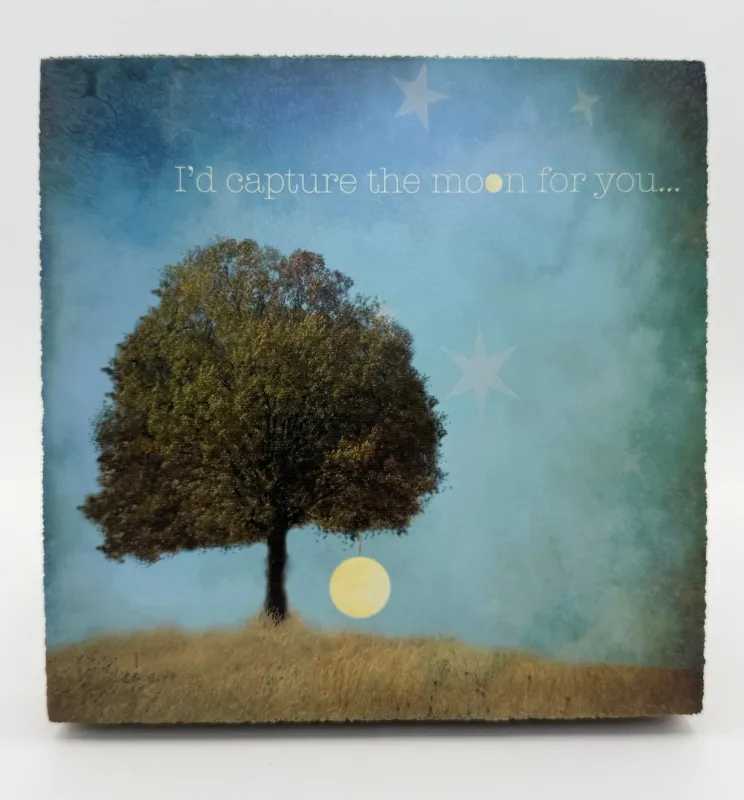Cedar Mountain Art Block Capture the Moon