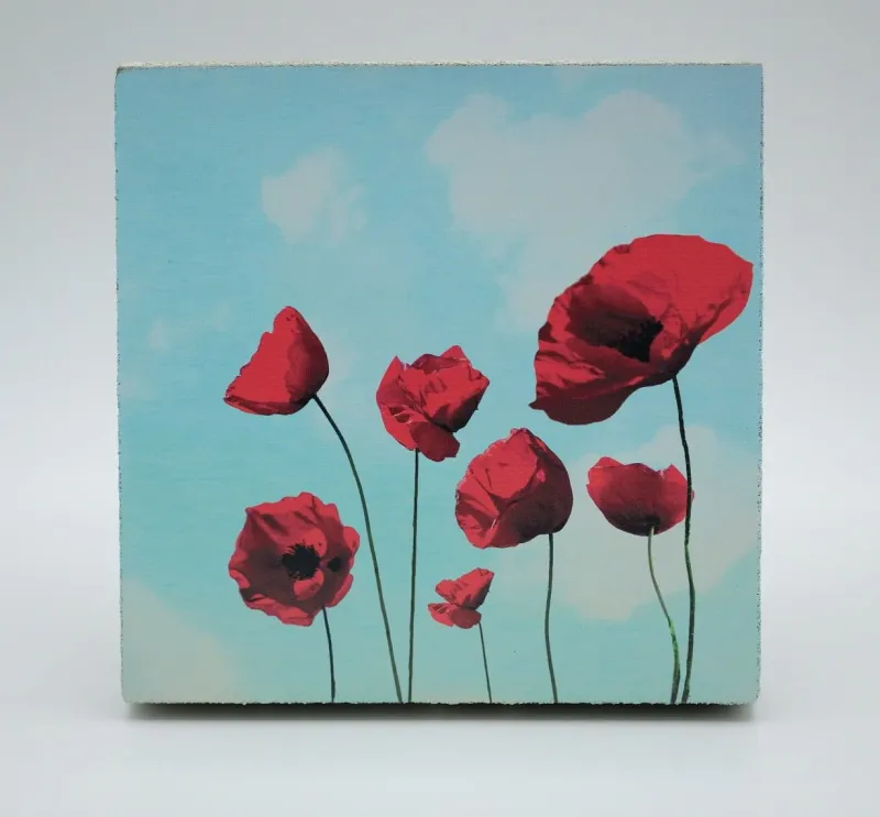 Cedar Mountain Art Block Poppies