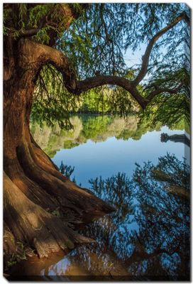 Streamline Art Camecuaro Lake D4350 30x45