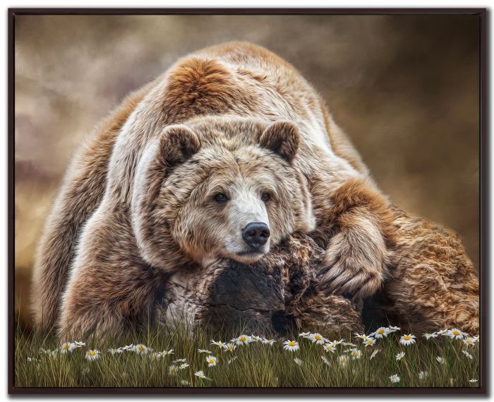 Streamline Art The Somber Wake WBG25580 40x50 Streamline Art The Somber Wake WBG25580 40x50