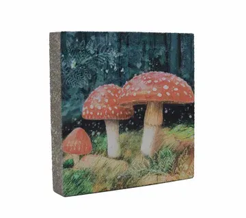 Cedar Mountain Art Block Mushrooms