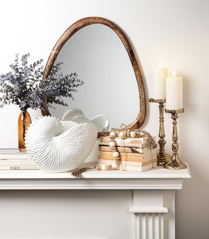 Decor Abbott Nautilus Shell Holder 13”