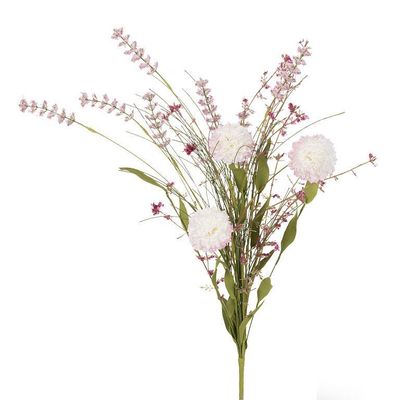 Plant Abbott Pink Wildflower