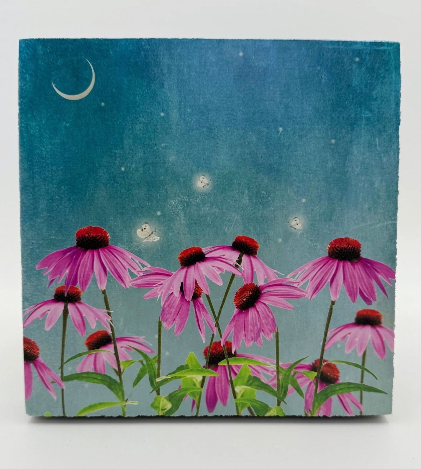 Cedar Mountain Art Block Fireflies Cedar Mountain Art Block Fireflies