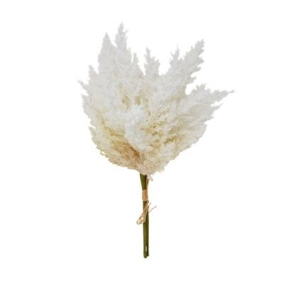 Plant Nostalgia Reed Branch 778-051