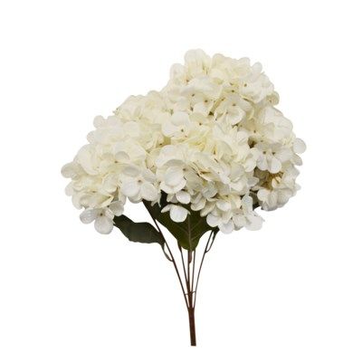 Plant Nostalgia Hydragea White 778-064