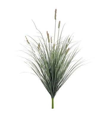 Plant Koppers Grass 52353