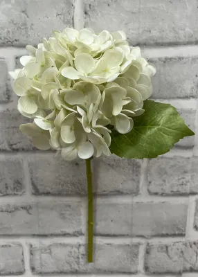 Flowers TriW Cream Hydrangea Stem 12” 01008CMGR Flowers TriW Cream Hydrangea Stem 12” 01008CMGR