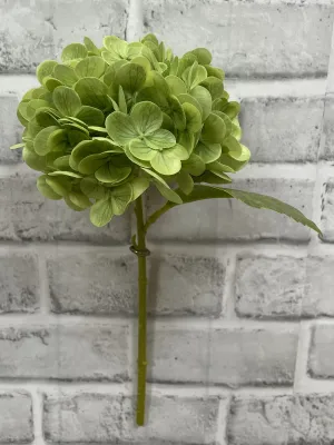 Flowers TriW Green Hydrangea Stem 12” 01008GR Flowers TriW Green Hydrangea Stem 12” 01008GR