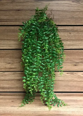 Plants TriW Hanging Fern Vine 32” 11264 Plants TriW Hanging Fern Vine 32” 11264