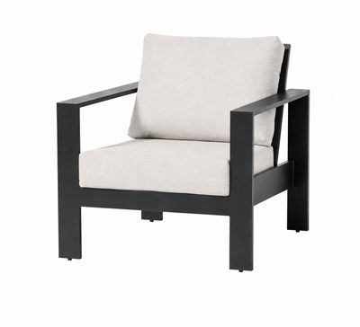 Ratana Vienna Club Chair Tabloid Cloud