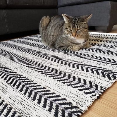 Rugs Avocado Dhurrie 3'3" x 4'7" Arrow Black
