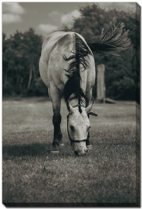 Streamline Art Between The Races D4695 30x45
