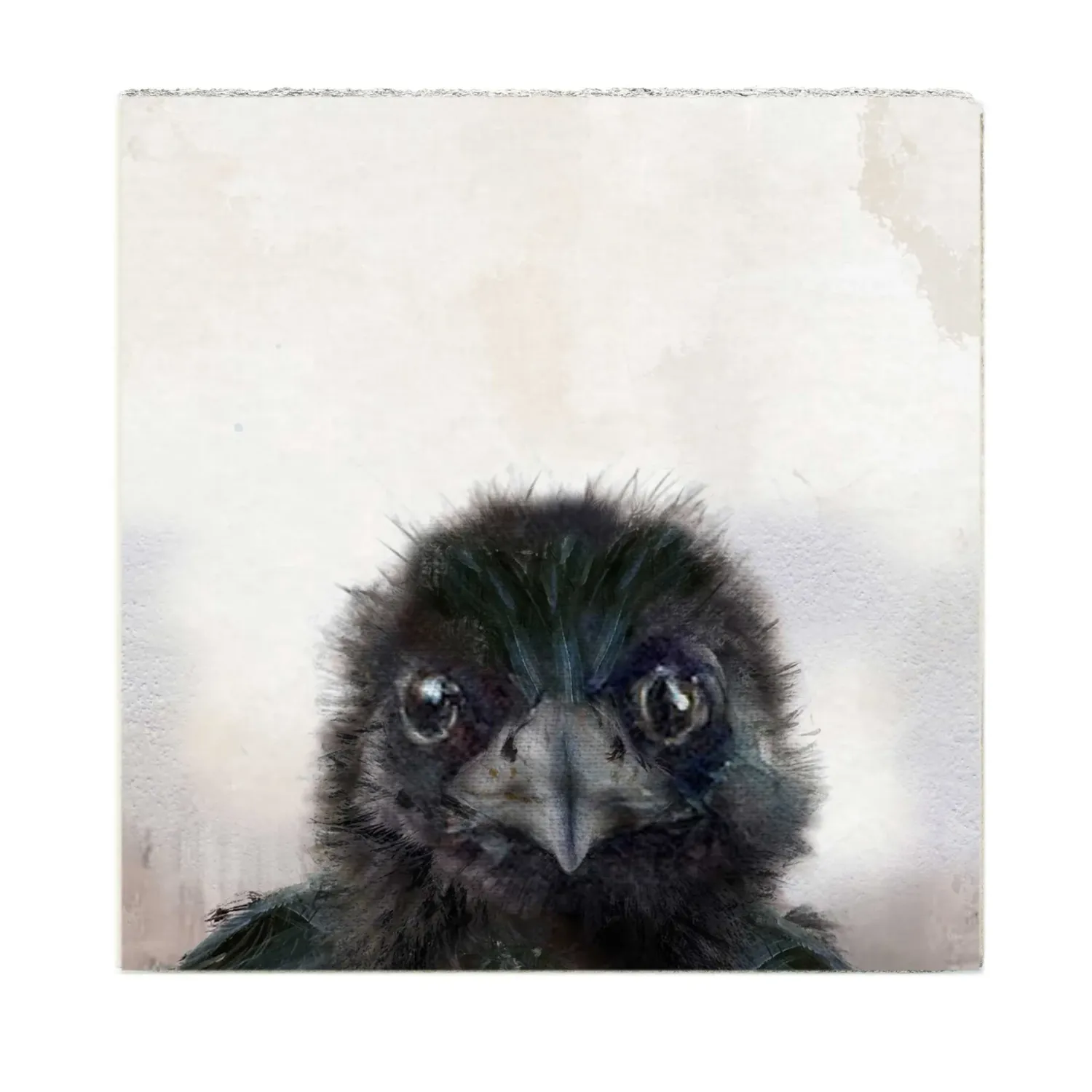 Cedar Mountain Art Block Crow Baby