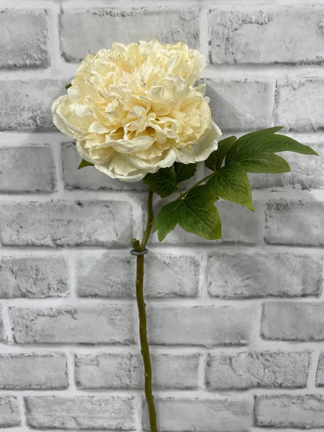 Flowers TriW PeonyCream 19.5" 11703CM