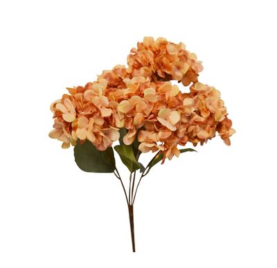 Plant Nostalgia Hydragea Ocher 778-065