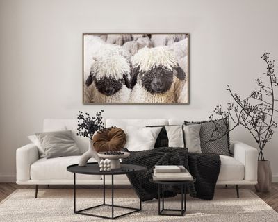 Streamline Art Woolly Companion SUN26196 30x45