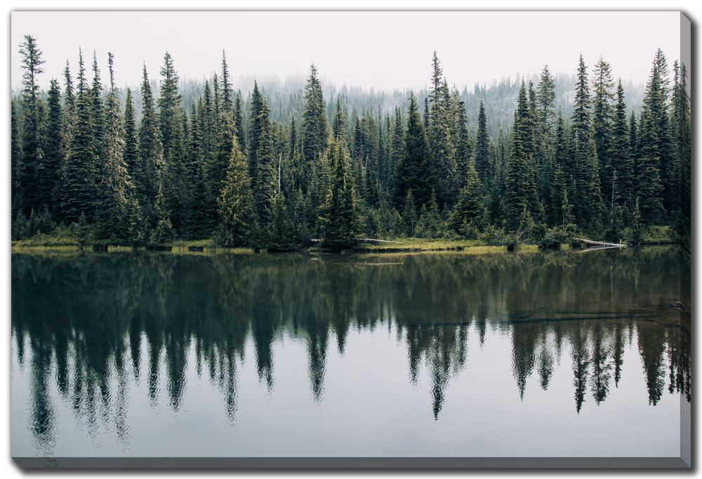 Streamline Art Pine Trees Reflected D3680 30 x 45 Streamline Art Pine Trees Reflected D3680 30 x 45