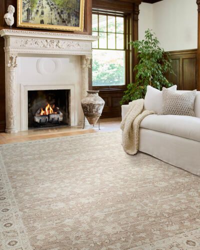 Rugs Surya Asha 5'3 x 7'6 NBAS2303-537