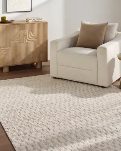 Rugs Surya  The Studio 5'3 x 7'6 RZSE2322-537