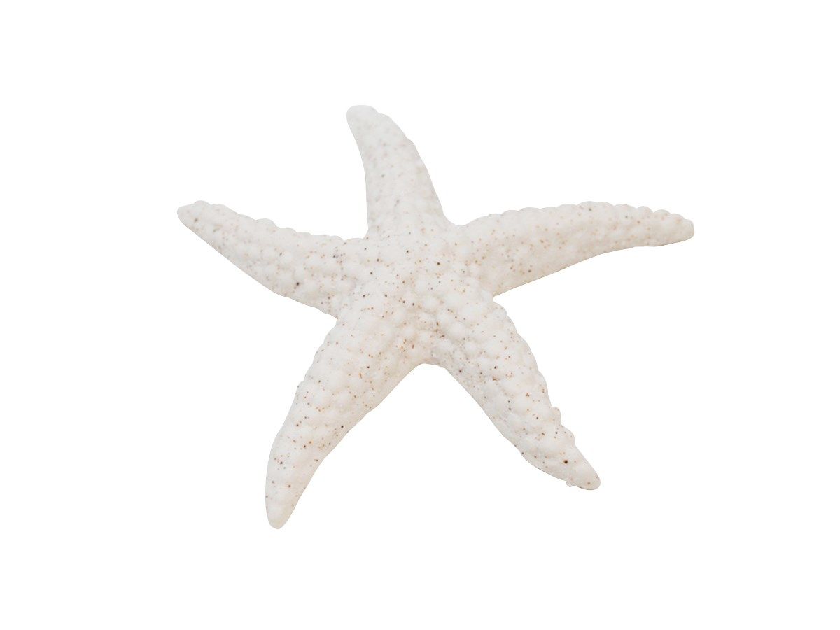 Starfish Nostalgia White 914-013