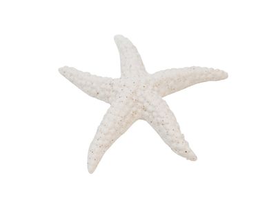 Starfish Nostalgia White 914-013