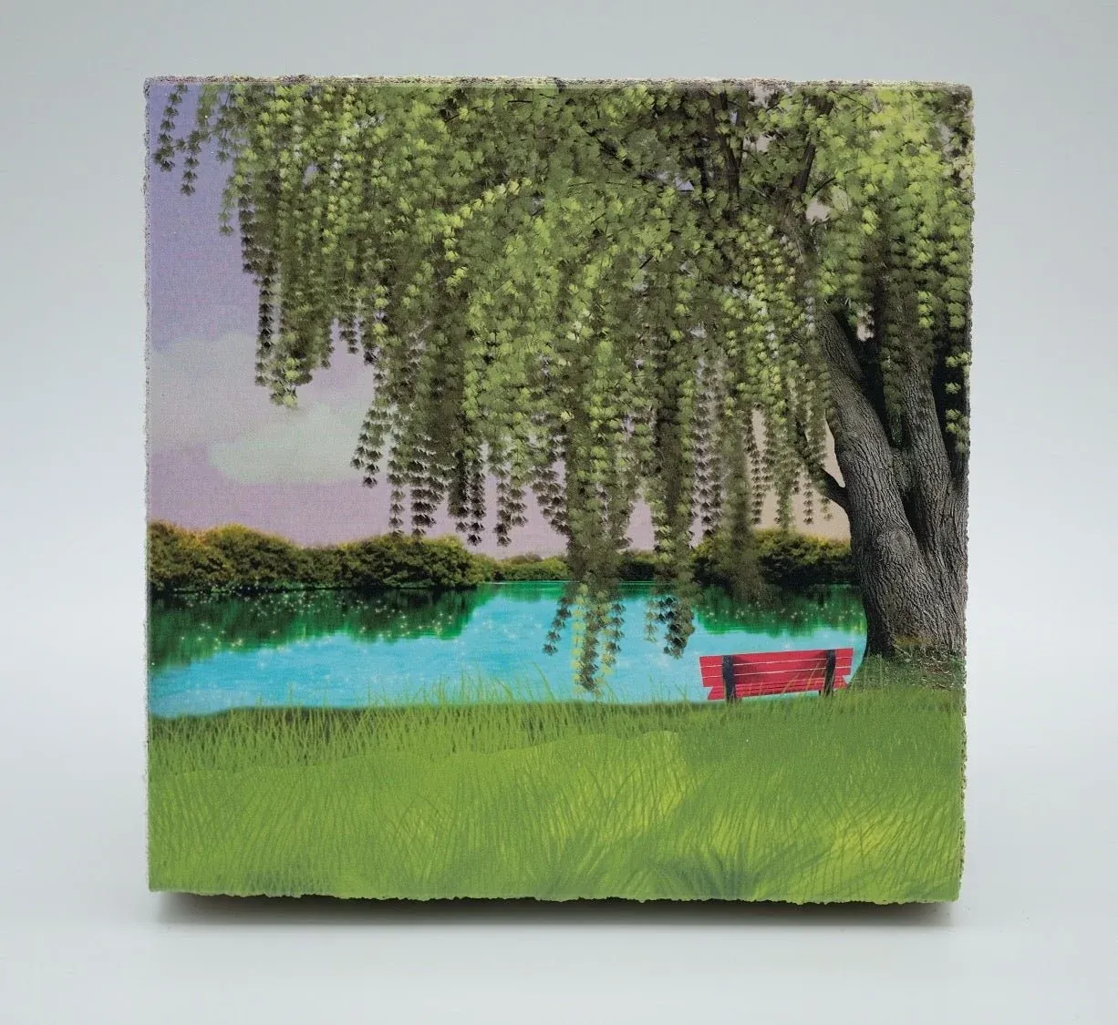 Cedar Mountain Art Block Park Bench